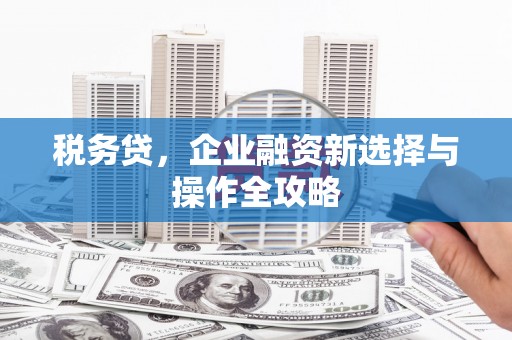 唐山税务贷，企业融资新选择与操作全攻略