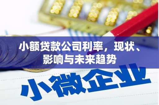 唐山小额贷款公司利率，现状、影响与未来趋势