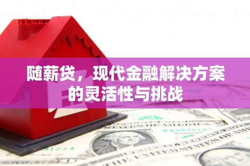 唐山随薪贷，现代金融解决方案的灵活性与挑战