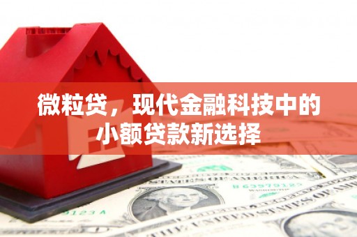 唐山微粒贷，现代金融科技中的小额贷款新选择