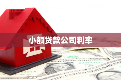 唐山小额贷款公司利率