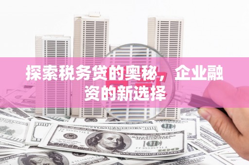 唐山探索税务贷的奥秘，企业融资的新选择