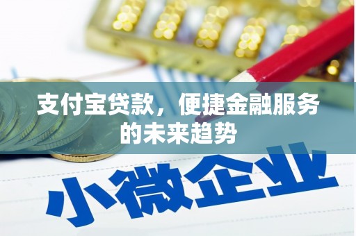 唐山支付宝贷款，便捷金融服务的未来趋势