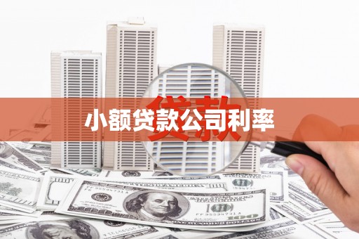 唐山小额贷款公司利率