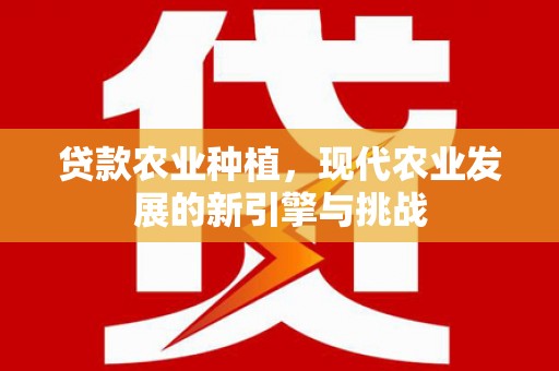 唐山贷款农业种植，现代农业发展的新引擎与挑战
