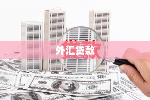 唐山外汇贷款