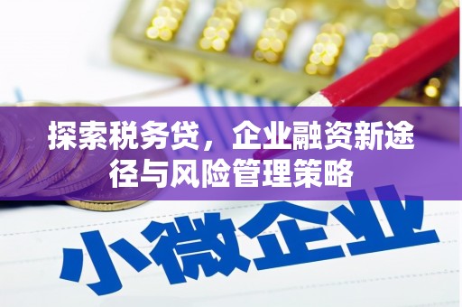 唐山探索税务贷，企业融资新途径与风险管理策略