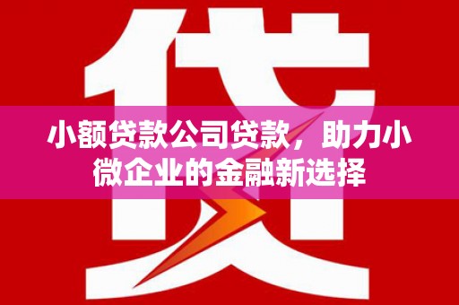 唐山小额贷款公司贷款，助力小微企业的金融新选择