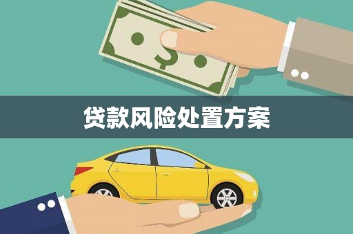 唐山贷款风险处置方案