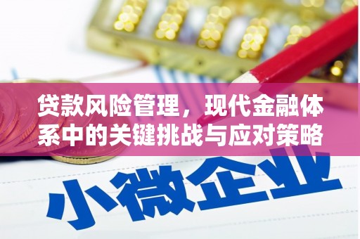 唐山贷款风险管理，现代金融体系中的关键挑战与应对策略