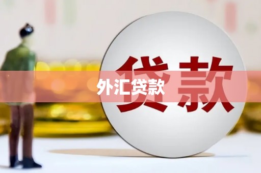 唐山外汇贷款