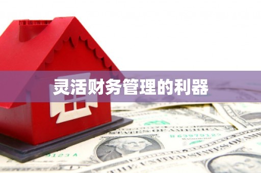 唐山灵活财务管理的利器