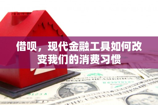 唐山借呗，现代金融工具如何改变我们的消费习惯