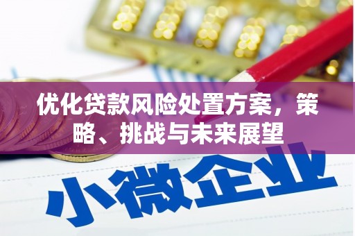 唐山优化贷款风险处置方案，策略、挑战与未来展望