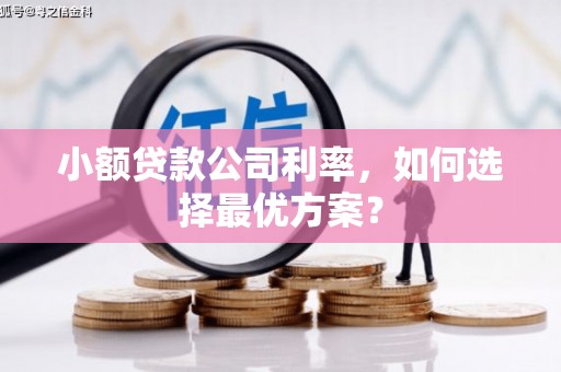 唐山小额贷款公司利率，如何选择最优方案？