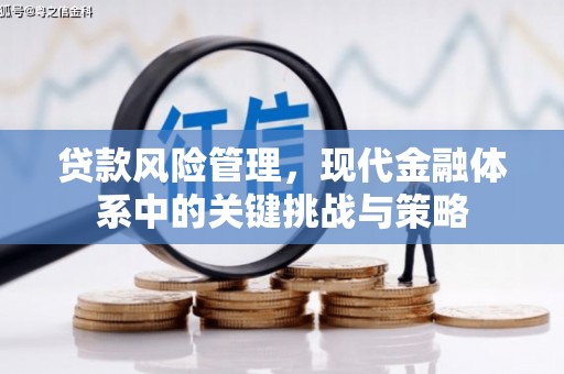 唐山贷款风险管理，现代金融体系中的关键挑战与策略