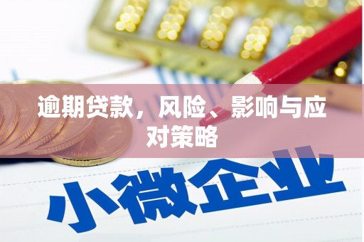唐山逾期贷款，风险、影响与应对策略