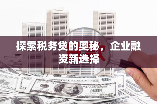 唐山探索税务贷的奥秘，企业融资新选择