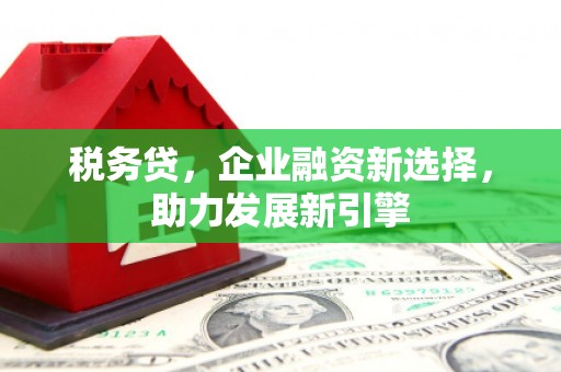 唐山税务贷，企业融资新选择，助力发展新引擎