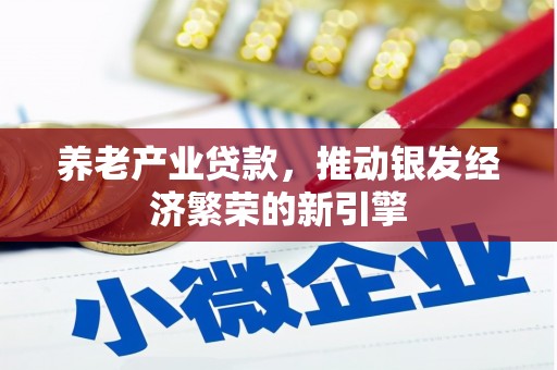 唐山养老产业贷款，推动银发经济繁荣的新引擎