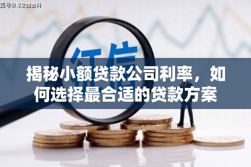唐山揭秘小额贷款公司利率，如何选择最合适的贷款方案