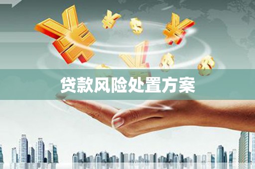 唐山贷款风险处置方案