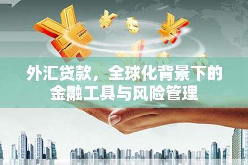 唐山外汇贷款，全球化背景下的金融工具与风险管理