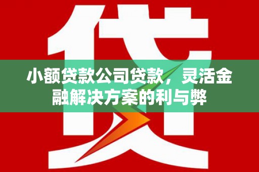 唐山小额贷款公司贷款，灵活金融解决方案的利与弊